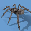 Realistic Spider 3D Model with Detailed Legs and Textured Exterior on Blue Background