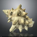 Intricate Conch Shell Sculpture Carving With Natural Texture And Artistic Details
