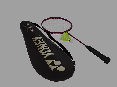 Professional Badminton Sports Equipment Set With Lightweight Racket Shuttlecock And Storage Bag 3d model