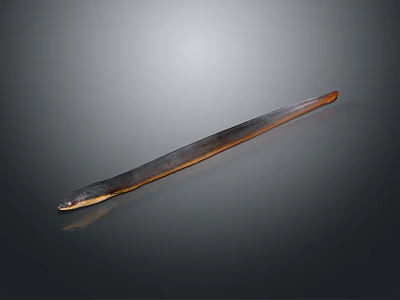 Long Brown Black Eel on Dark Background with Smooth Skin Texture 3d model