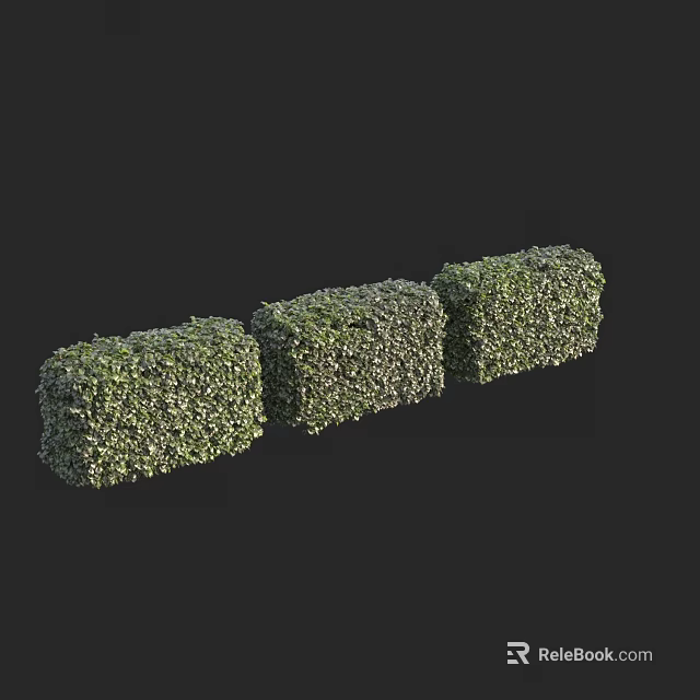 Three Neatly Trimmed Green Hedge Shrubs for Garden Landscaping Design 3d model 