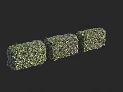 Three Neatly Trimmed Green Hedge Shrubs for Garden Landscaping Design 3d model