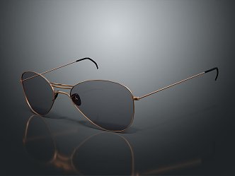 Modern Sunglasses Glasses Sunglasses 3d model