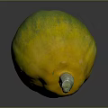 Fresh Round Yellow And Green Gourd With Green Stem On Dark Background