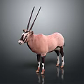 Oryx Antelope Standing On Dark Background With Long Horns And Pink Coat