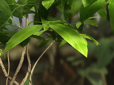 leaves and branches model