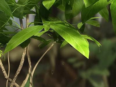 Vibrant Natural Scenery with Lush Green Leaves on Branches Basked in Warm Sunlight 3d model