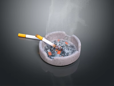 Stone Ornament Decoration Set With Lit Cigarettes Ashtray Smoke And Dark Background 3d model