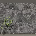 Dark Textured Natural Stone Background Wall With Green Plant And Wooden Frame
