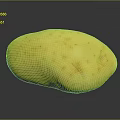 Fresh Yellow Potato With Spotted Surface On Black Background With Reflection 3d model