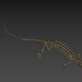 Detailed Crocodile Skeleton Full Body Display On Gray Background 3d model