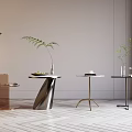 Modern Side Tables With Different Metal Frame Designs And Green Plants In Minimalist Interior 3d model