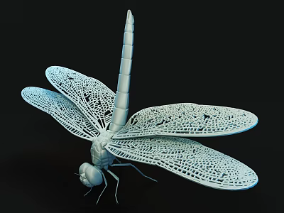 Light Colored 3D Dragonfly Model With Transparent Wings On Black Background 3d model