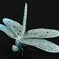 Light Colored 3D Dragonfly Model With Transparent Wings On Black Background 3d model