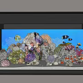 Aquarium Fish Tank With Corals Rocks Colorful Fish Model Sailboat And Aquatic Plants