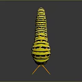 Yellow Black Striped Caterpillar With Orange Antennae And Black Spots On Dark Background
