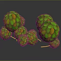 Green Spherical Plants With Yellow Spots On Orange Stems Against Dark Background