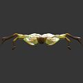 Modern leaf-dead insects, Sparidae 3d model