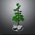 Small Decorative Pine Tree With Snow Covered Base And Falling Snowflakes