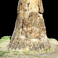 Petrified Wood Trunk With Detailed Texture And Natural Stone Appearance In Grass And Earth