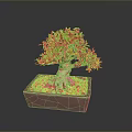 Decorative Bonsai Plant With Exposed Roots Green Foliage And Yellow Pebbles In Square Clay Pot