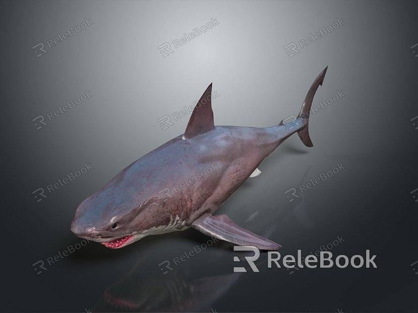 shark great white shark whale shark hammerhead shark tiger head shark man-eating shark blue shark coral red coral white coral model