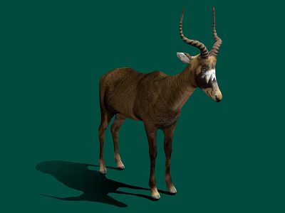 Realistic Brown Antelope With Curved Horns Standing On Green Background 3d model