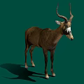 Realistic Brown Antelope With Curved Horns Standing On Green Background