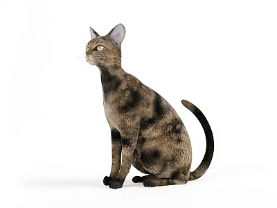 Brown And Black Striped Reptile Sitting On White Background With Long Tail 3d model