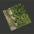 Mini Green Plant Landscape With Fresh Leaves Stones And Lush Moss