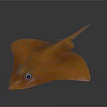 Orange Low Poly Ray 3D Model Aquatic Animal With Smooth Edges And Vivid Color