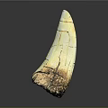 Ivory Shaped Sculpture Carving With Cracked Texture And Light Colored Surface On Dark Background