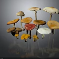 Fresh Wild Mushrooms Variety With Orange Red White Brown Caps And Stems For Culinary Use