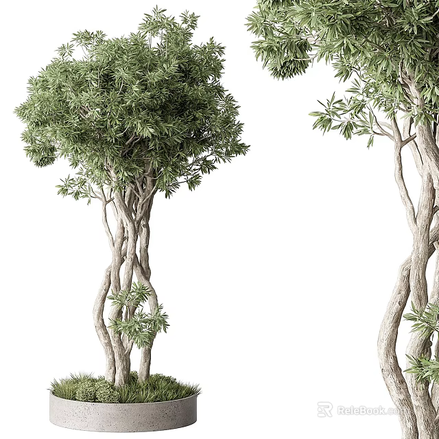 Natural Tree Pit with Twisted Trunks and Lush Green Leaves in Landscape 3d model 