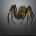 Colorful Spider With Vibrant Yellow Blue Patterns And Long Legs
