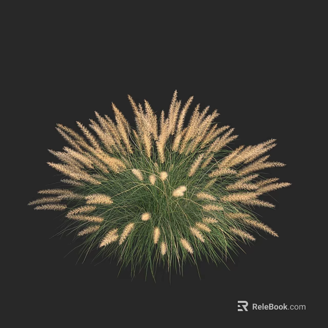 Lush Green Grass with White Spiky Flowers and Radiant Shape on Black Background 3d model 