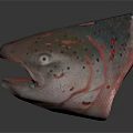Realistic 3D Model of Salmon Head With Open Mouth And Red Spots