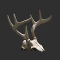 Detailed Decorative Deer Skull With Large Antlers On Dark Background