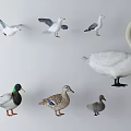 Colorful Reptile Models In Various Poses Standing Lying And Walking On White Background