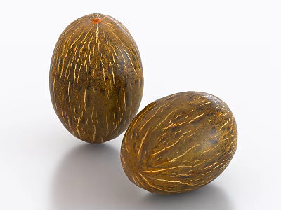 Two Oval Brown Melons Featuring Golden Stripes And Shiny Skin On Light Background 3d model