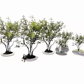 Arbor Trees In Different Sizes With Decorative Planters And People Sitting Under 3d model