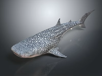 Whale Shark Featuring Spotted Skin And Streamlined Body In Marine Habitat 3d model