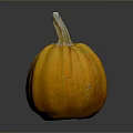 Fresh Orange Pumpkin On Dark Background With Shiny Surface Reflection