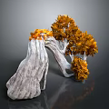 Unique Curved Tree With White Textured Trunk And Orange Yellow Leaves