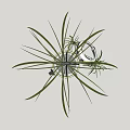 Green Leafy Hanging Bonsai Potted Plant With Small Trailing Plants And Metal Hanger