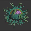 Green Organ Structure With Hair Like Projections And Detailed Golden Core