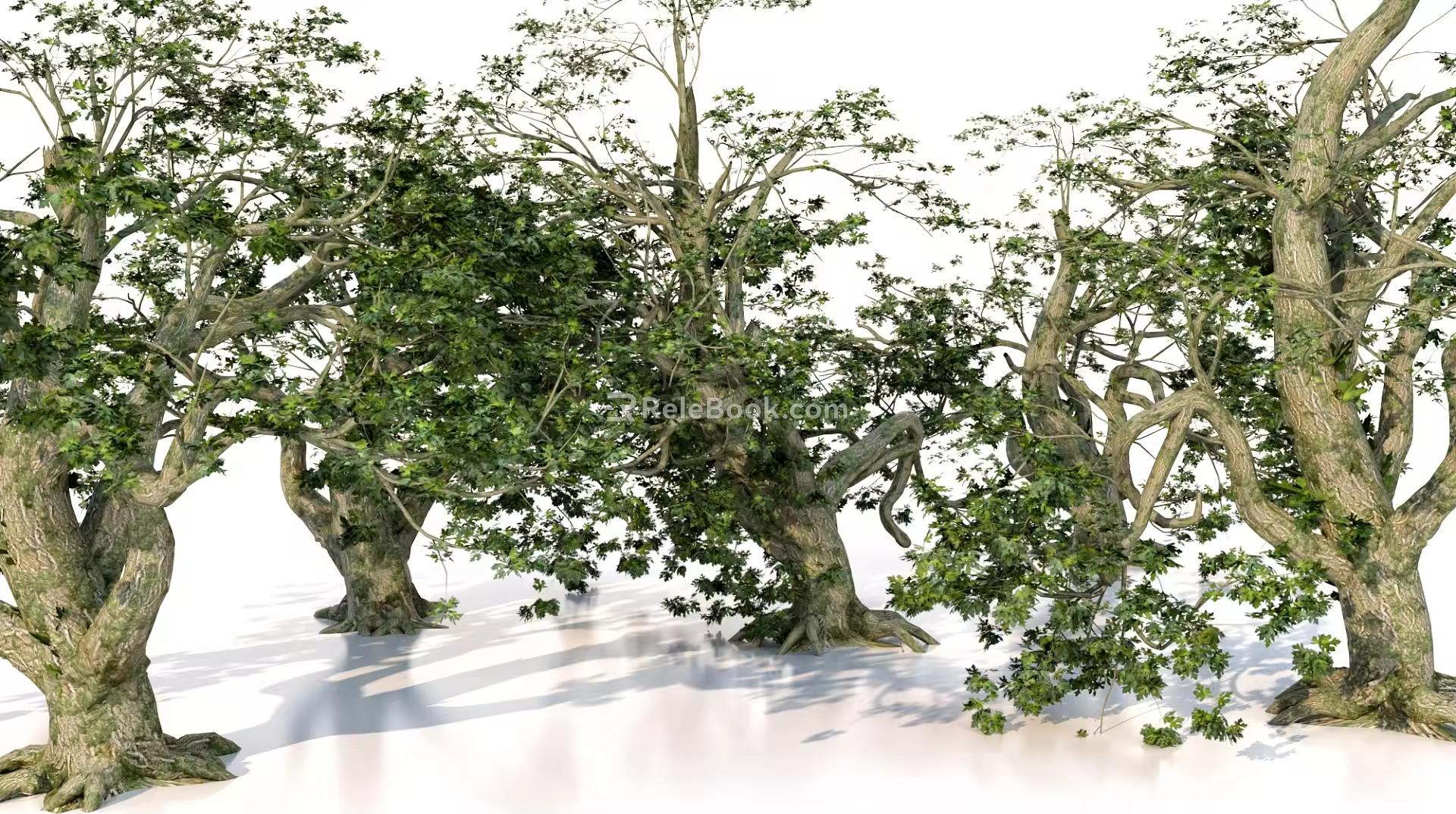 big tree old tree old tree dead tree 3d model