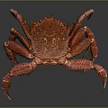 Red Crab With Textured Body Long Legs And Claws On Dark Background
