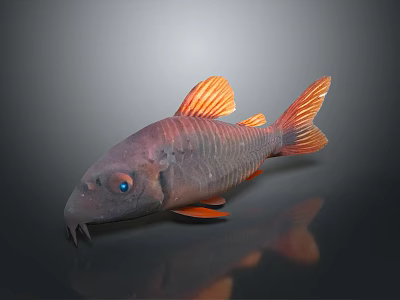 3D Modeled Red Orange Fish With Blue Eyes Detailed Fins Whiskers And Dark Reflection 3d model