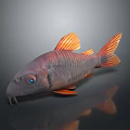 3D Modeled Red Orange Fish With Blue Eyes Detailed Fins Whiskers And Dark Reflection